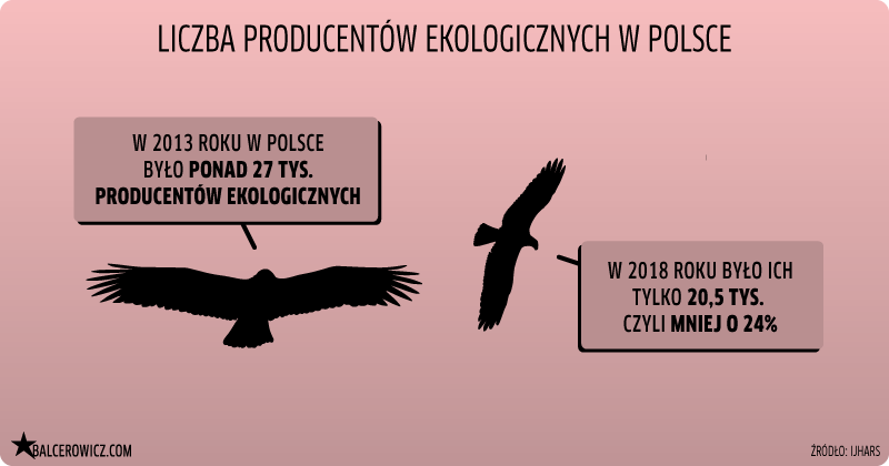 Liczba producentów ekologicznych w Polsce